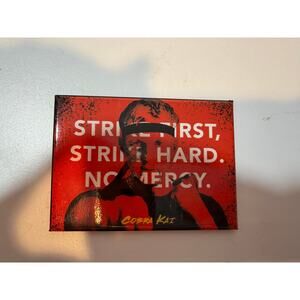 Cobra Kai Strike First Strike Hard No Mercy Johnny Lawrence